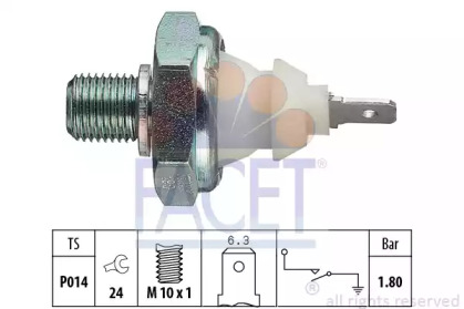 FACET 70045