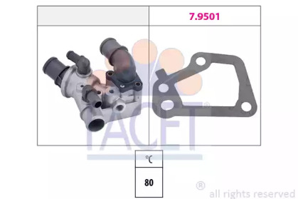 FACET 78101