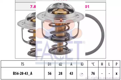 FACET 7.8403S