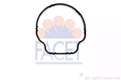 FACET 7.9707