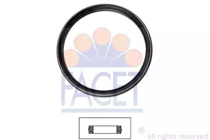 FACET 7.9720