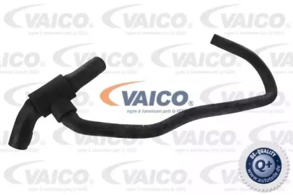 VAICO V10-0025