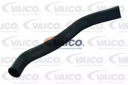 VAICO V10-0061