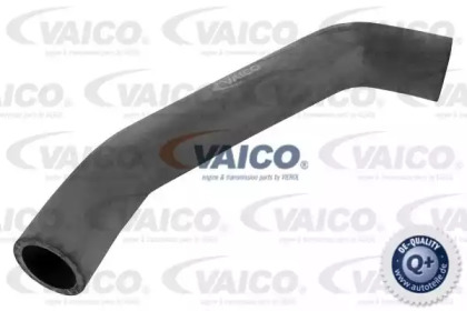 VAICO V10-0065