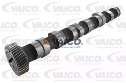 VAICO V10-0869