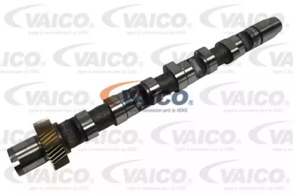 VAICO V10-0870