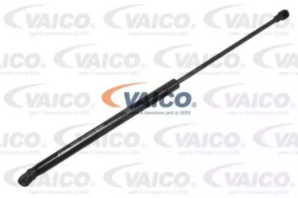 VAICO V10-0919