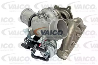 VAICO V10-2481