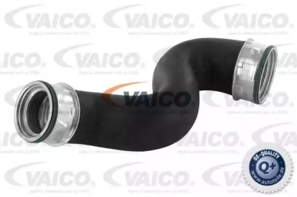 VAICO V10-2697