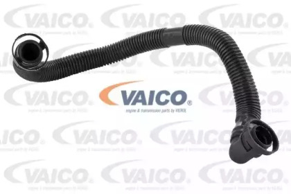 VAICO V10-2779