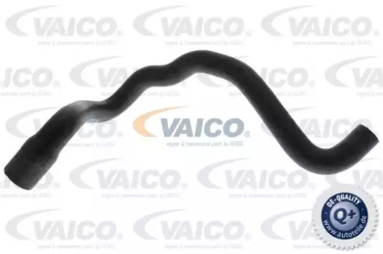 VAICO V10-2810 VAICO V10-2810