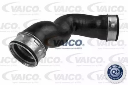 VAICO V10-2901