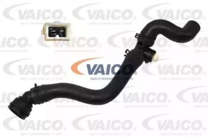 VAICO V10-3204