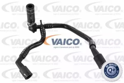 VAICO V10-3631 VAICO V10-3631