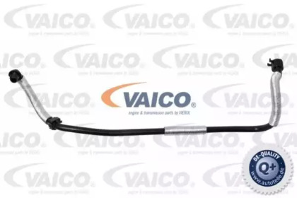 VAICO V10-3636 VAICO V10-3636