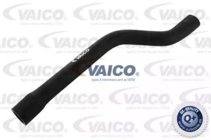 VAICO V20-0145