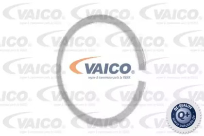 VAICO V20-0315