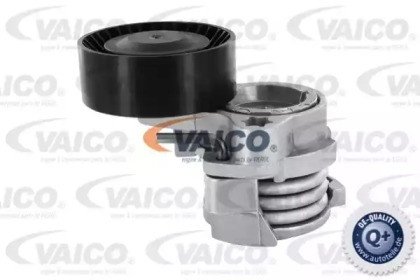 VAICO V20-0338