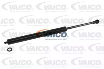 VAICO V20-1004