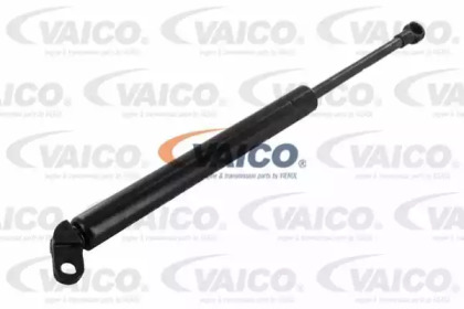 VAICO V20-1005