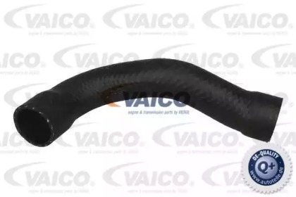 VAICO V20-1241