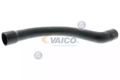 VAICO V20-1252