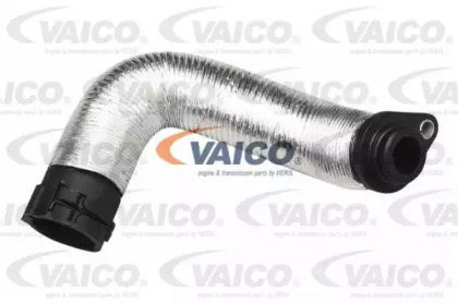 VAICO V20-1261