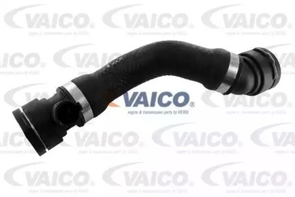 VAICO V20-1264