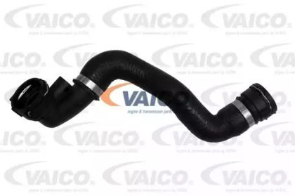 VAICO V20-1275