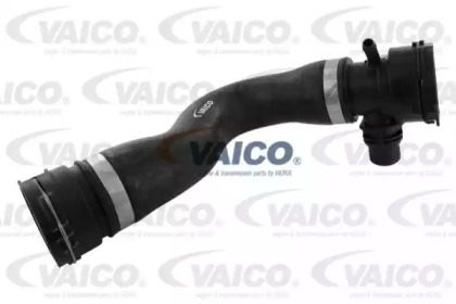 VAICO V20-1301