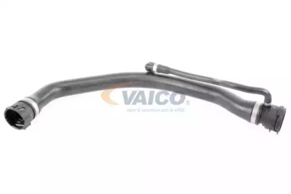 VAICO V20-1317
