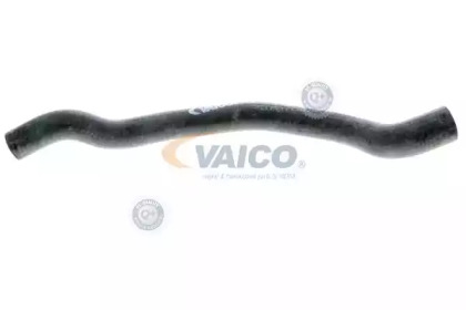 VAICO V20-1648