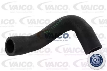 VAICO V20-1650