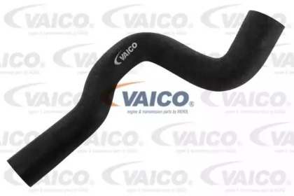 VAICO V20-1704