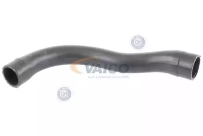 VAICO V20-1750 VAICO V20-1750