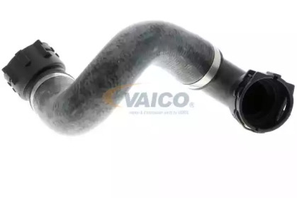 VAICO V20-1780