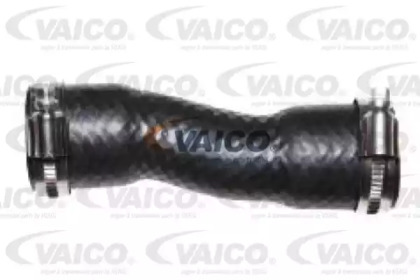 VAICO V20-2461