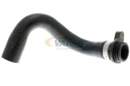VAICO V20-2893