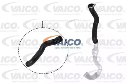 VAICO V21-0025 VAICO V21-0025