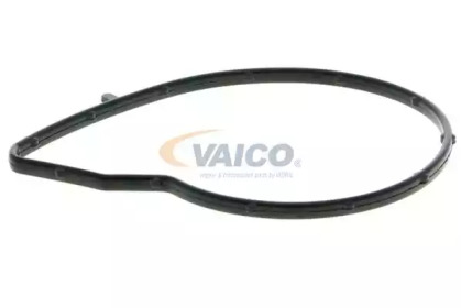 vaico v2250021