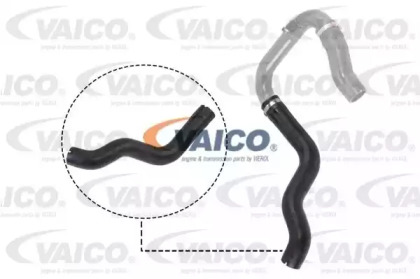 VAICO V24-0730 VAICO V24-0730