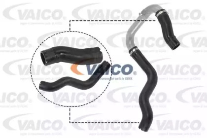 VAICO V24-0731 VAICO V24-0731