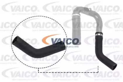 VAICO V24-0733 VAICO V24-0733