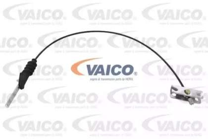 VAICO V24-30080