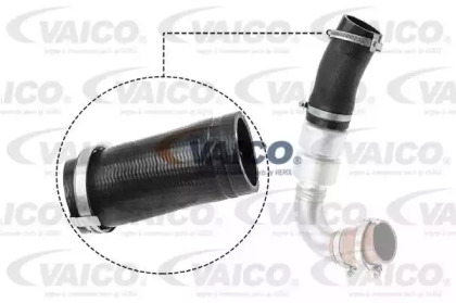 VAICO V25-1036
