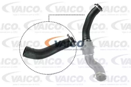 VAICO V25-1056