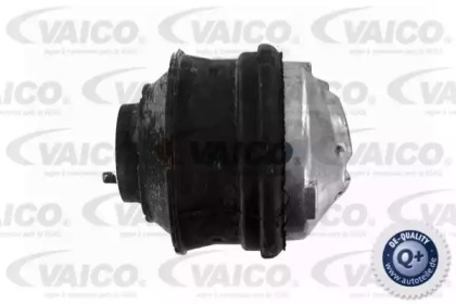 VAICO V30-0024