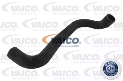 VAICO V30-0221