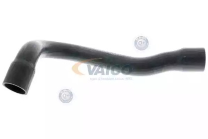 VAICO V30-0244