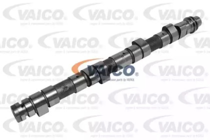 VAICO V30-0261